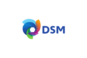 dsm justconnecting